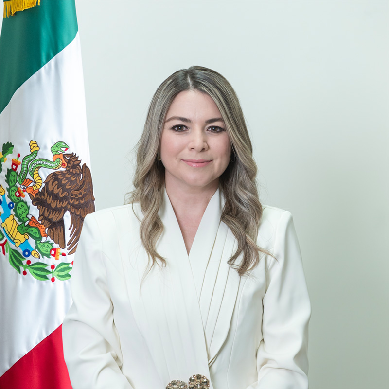 Lic. Alejandra Velarde Félix 